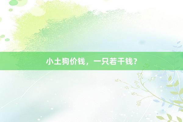 小土狗价钱，一只若干钱？