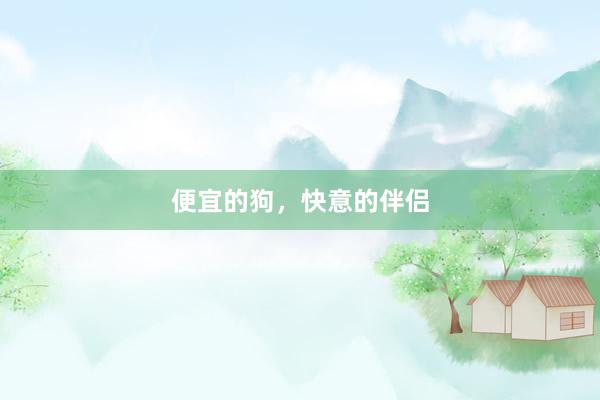 便宜的狗,快意的伴侣