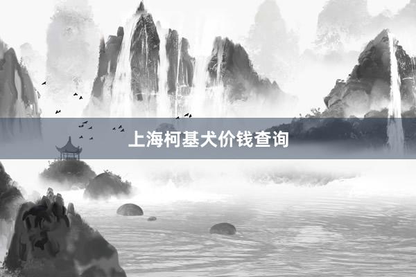 上海柯基犬价钱查询